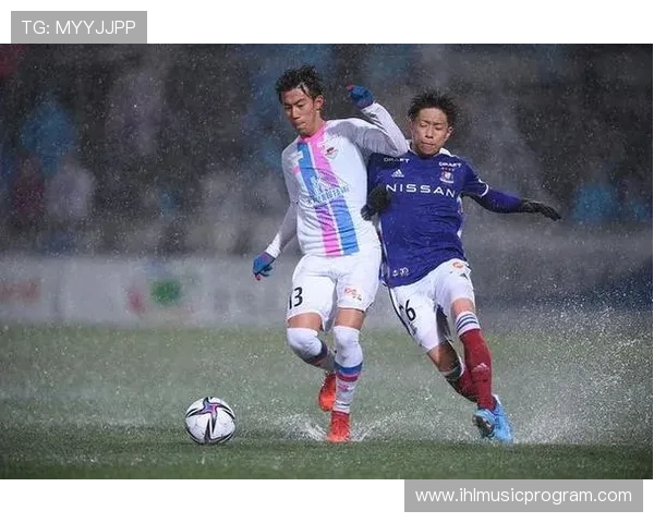 杭州排球队防反革新探索新策略助力竞技水平提升